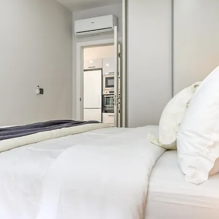 Seashell, A In Madeira *