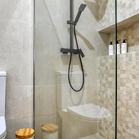 Seashell, A In Madeira