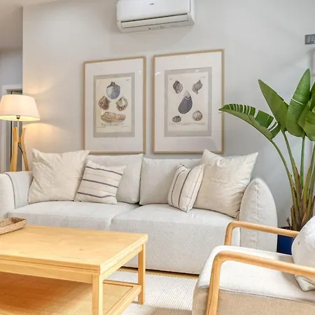 Seashell, A In Madeira マシコ