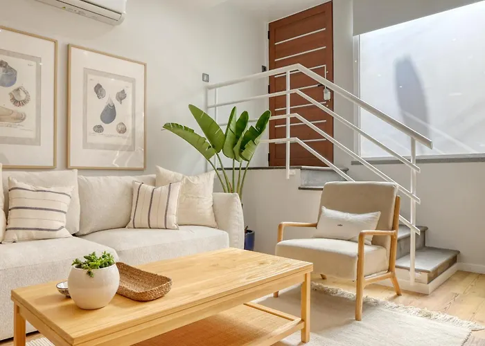 Seashell, A In Madeira * Machico (Madeira)