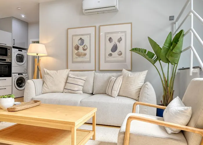 Seashell, A In Madeira ماتشيكو